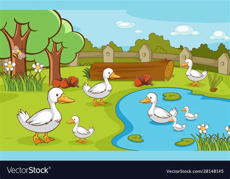 Scene With Ducks In Pond Royalty Free Vector Image
