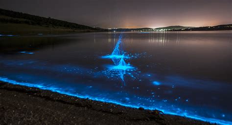 We Have Glowing Beaches Here On Earth And They Are Spectacular