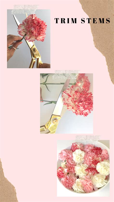DIY Flower Lei for Graduation | Graduation diy, Graduation leis, Diy graduation gifts