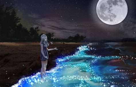 Anime Moonlight Wallpapers Top Free Anime Moonlight Backgrounds