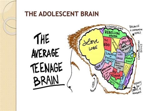 Adolescent Growth And Development Ppt