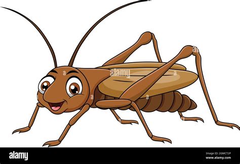 Lindo Cricket Insecto Ilustración De Vectores De Dibujos Animados