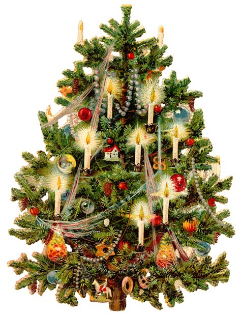 Choose from 18000+ christmas tree graphic resources and download in the form of png, eps, ai or psd. Victorian Christmas Tree - Wings of Whimsy