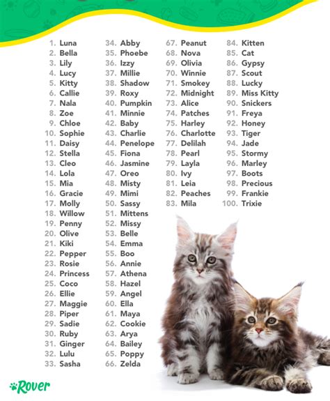 That is why we have created a new collection of modern … Cute Boy Cat Names That Start With V - Blues Dance
