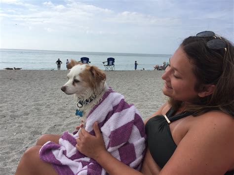Dog Friendly Places In Sarasota Florida Must Do Visitor Guides