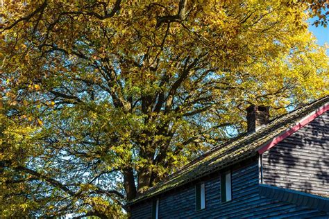 Your Fall Home Preparation Checklist Consider It Done
