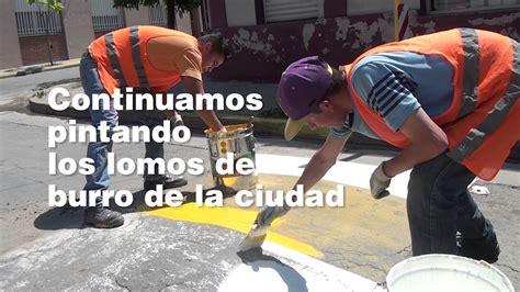 Informe el uso dado a las cuerdas en esta finca en el 2017. Malagueño Pintando lomos de burro - 2017 - YouTube