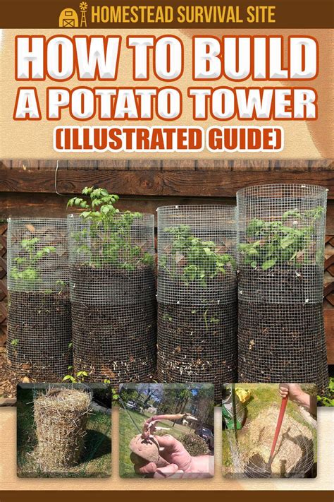 How To Build A Potato Tower Illustrated Guide Artofit