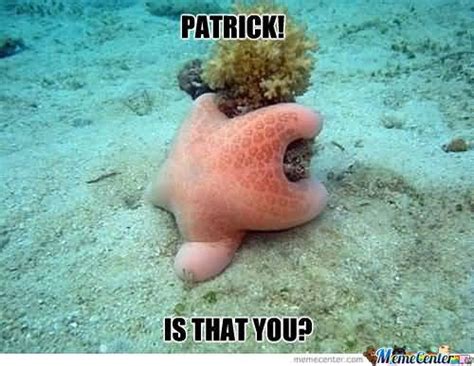 60 Funny Patrick Meme Images Pictures And Wallpapers