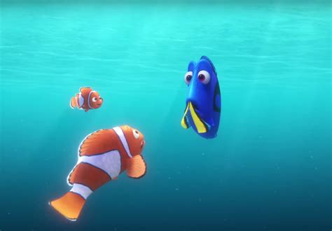 Finding Dory Release Date Plot And Cast Details For The Finding Nemo Sequel