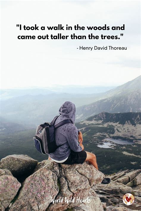 Nature Quotes To Inspire Your Travel Journey Nature Quotes Instagram