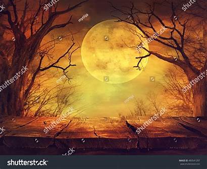 Moon Halloween Forest Background Spooky Wooden Table