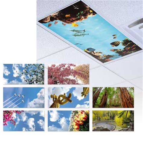 It also disperses light throughout although it is quite easy to cut and fit the plastic panels to your lighting fixtures, the thinness of the panels makes it vulnerable to breakage if not. Dental light panels available in new designs - DentistryIQ