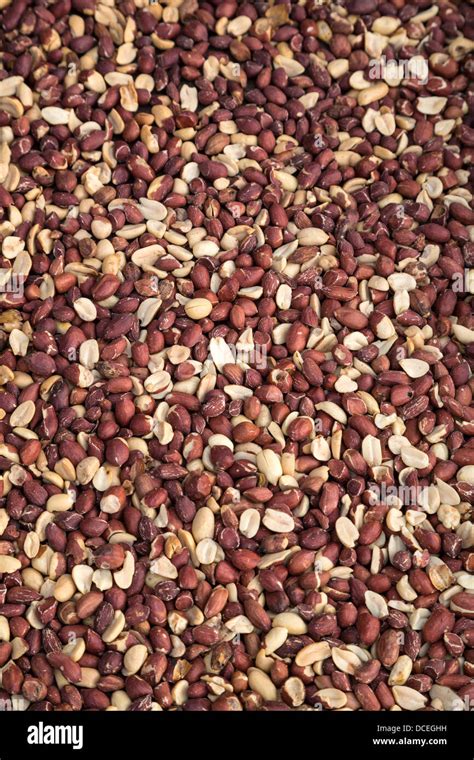 Peanuts Fatick Senegal Stock Photo Alamy