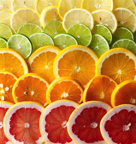 Citro Bio The Decline Of Florida Citrus And How To Fight Citrus Greening