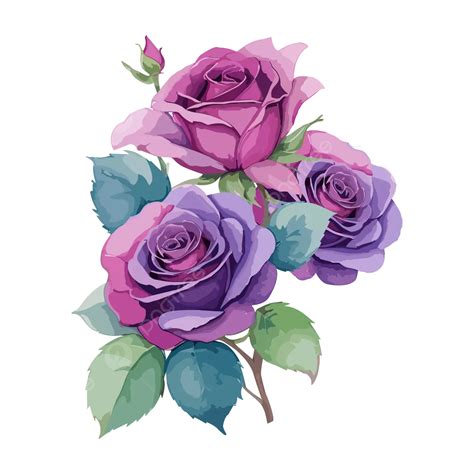 Beautiful Watercolor Rose Flower Frame Vector Beautiful Watercolor