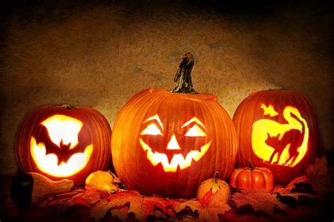 Die irischen einwanderer in den usa pflegten ihre bräuche in erinnerung an die heimat und bauten sie aus. Warum wird Halloween gefeiert?
