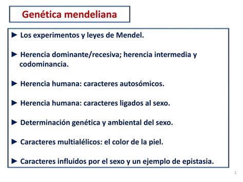Ppt Genética Mendeliana Powerpoint Presentation Free Download Id