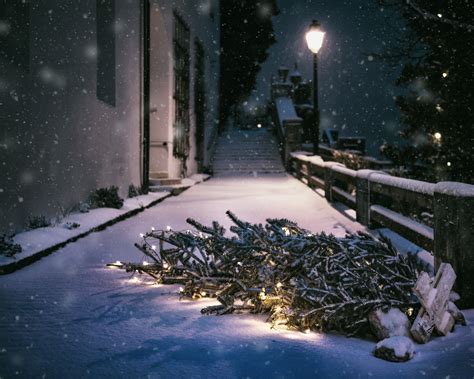 Kostenlose Foto Schnee Kalt Winter Nacht Wetter Schneebedeckt