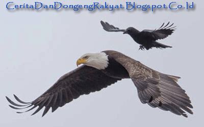 Check spelling or type a new query. Cerita Binatang "Burung Elang dan Burung Gagak"