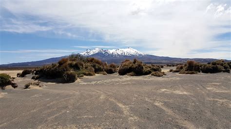 New Zealand Desert Road