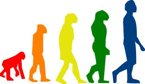 Evolution Cliparts Illustrating The Fascinating Story Of Human And
