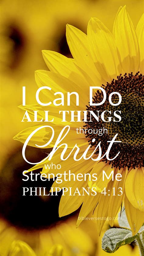 Sunflower Philippians 413 Bible Verses To Go