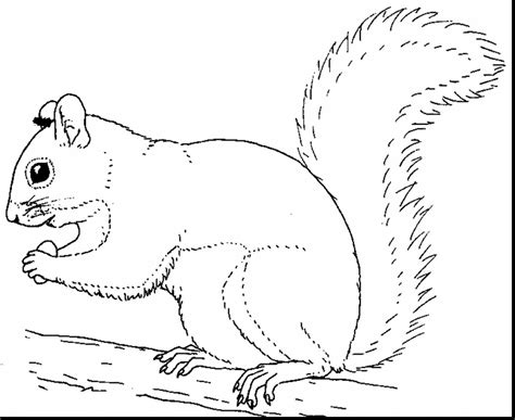 Download Coloring Pages Of Dogs And Cats Printable at GetColorings ...