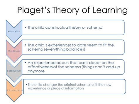 Schema Theory Piaget Free Images At Vector Clip Art Online Royalty