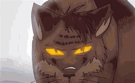 Warrior Cats Tiger Star  Warrior Cats Tiger Star Cat Discover