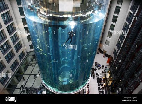 Berlin, Germany, in divers Aquadom of sealife at Hotel Radisson SAS