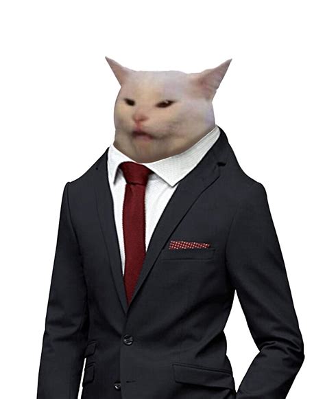 Collection 105 Wallpaper Cat In A Suit Meme Excellent