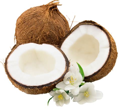 Coconut Png Image Transparent Image Download Size 933x856px