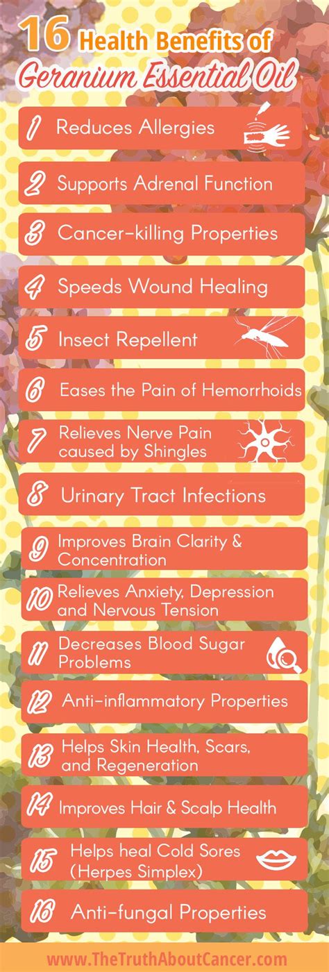Geranium Essential Oil 16 Health Benefits And Uses Infographic