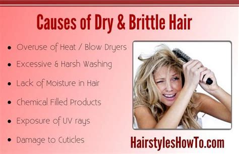 Enjoy reading & don't forget to share! Causes of Dry & Brittle Hair | Hair and Beauty Tutorials ...