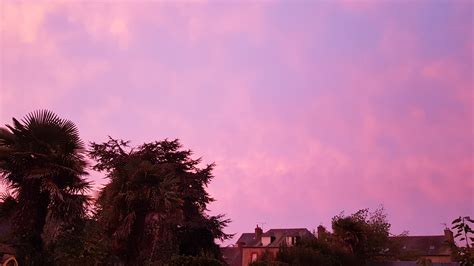 Free Images Pink Original Lovely Cloud Atmosphere Purple Tree