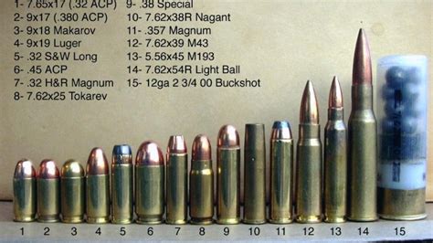 Rifle Calibers Smallest To Largest Chart A Visual Reference Of Charts