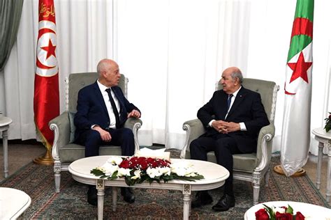 تونس والجزائر والمغرب في قائمة ألمانيا للدول الآمنة. قيس سعيد: تونس والجزائر شعب واحد ربطتهما عبر التاريخ أواصر ...