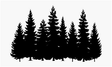 Pine Tree Black And White Pine Tree Black And White Clipart Hd Png