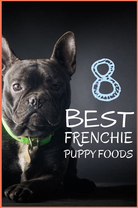 The 8 best foods for your french bulldog puppy. 8 Best Foods for a French Bulldog Puppy with Our Most ...