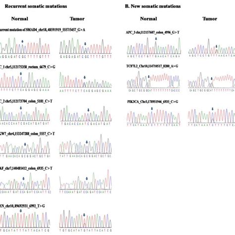 Sanger Sequencing Validated Somatic Mutations A Somatic Mutations Download Scientific Diagram