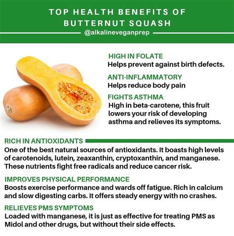 Butternut Squash Benefits Butternut Squash Benefits Nutrition