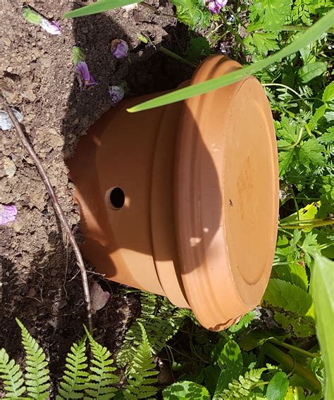 These are not good bees at all. Bumble Bee Nest : 3 Steps (with Pictures) - Instructables