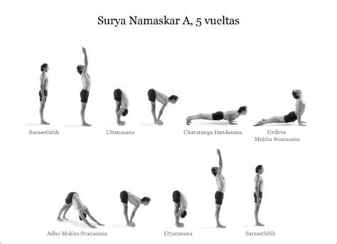 El Saludo Al Sol O Surya Namaskar En Yoga