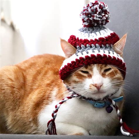 Burgundy And Gray Striped Beanie Hats For Cats Pawsomecrochet