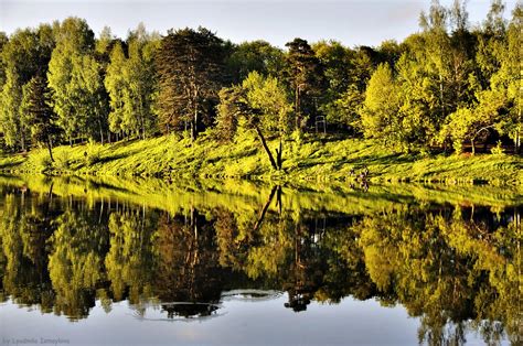 Wallpaper Landscape Forest Lake Water Nature Reflection Grass