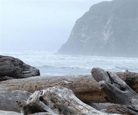 P1000720 Foggy Shoreline Oregon Coast Sheran Flickr