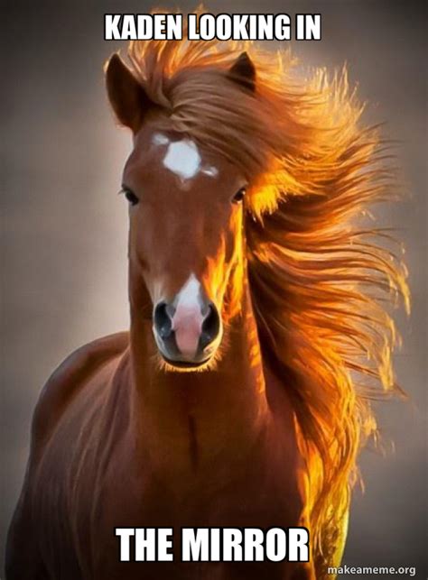 Kaden Looking In The Mirror Ridiculously Photogenic Horse Make A Meme