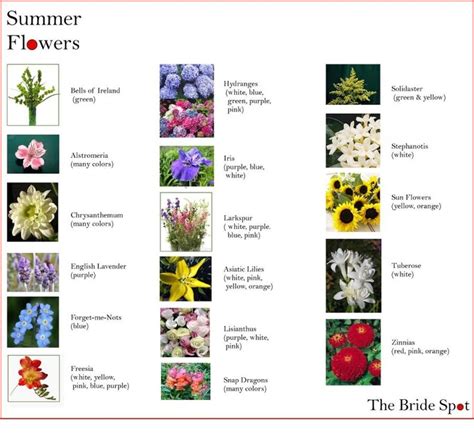 Home » flowers pictures » flower images with names. Summer flower guide | Flower guide, Wedding flowers summer ...