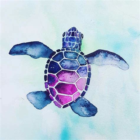 Pin By Wanda Gilbert On Art Acuarella Cute Turtle Drawings Turtle